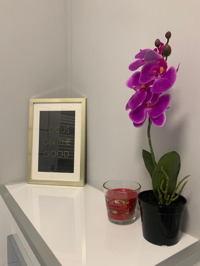 Apartament W Centrum Miasta 罗兹 外观 照片