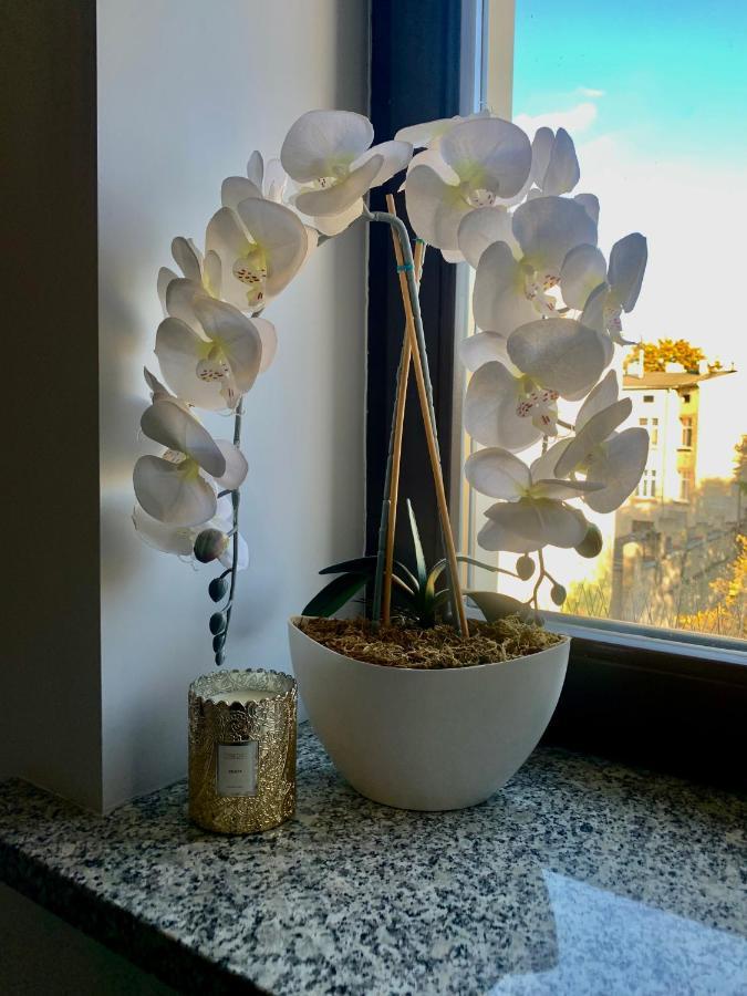 Apartament W Centrum Miasta 罗兹 外观 照片