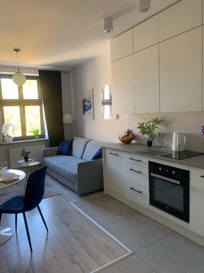 Apartament W Centrum Miasta 罗兹 外观 照片