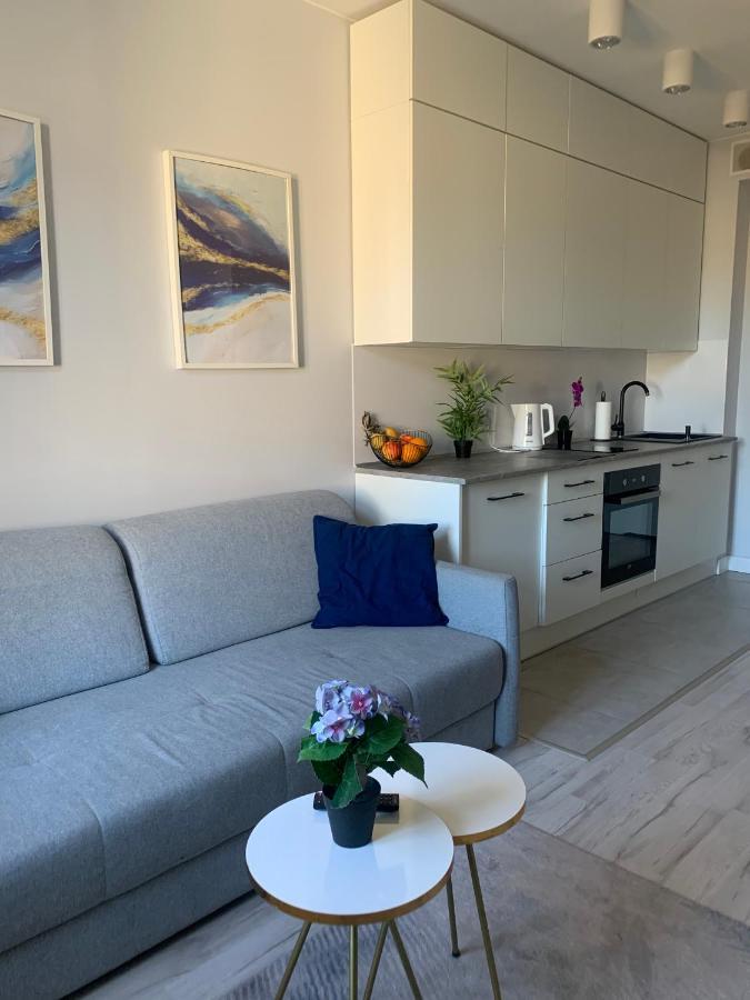 Apartament W Centrum Miasta 罗兹 外观 照片